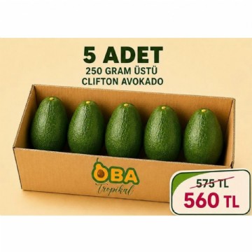 250 gram üstü clifton avokado 5 adet 