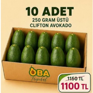 250 gram üstü clifton avokado 10 adet 