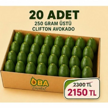 250 gram üstü clifton avokado 20 adet 