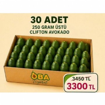 250 gram üstü clifton avokado 30 adet 