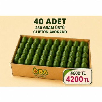 250 gram üstü clifton avokado 40 adet