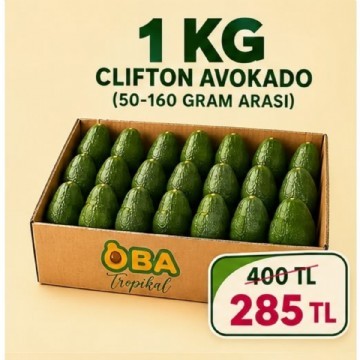 1 KG CLIFTON AVOKADO ( 50 - 160 GR ARASI ) 