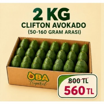 2 KG CLIFTON AVOKADO ( 50 - 160 GR ARASI ) 