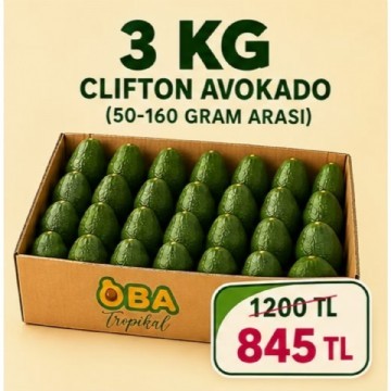 3 KG CLIFTON AVOKADO ( 50 - 160 GR ARASI ) 