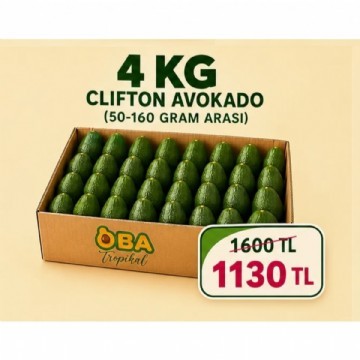 4 KG CLIFTON AVOKADO ( 50 - 160 GR ARASI ) 